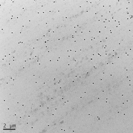 Nanoparticella di argento, immagine ingrandita 1000 volte