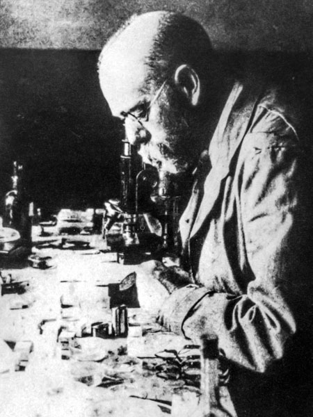 Robert Koch utilise un microscope en 1882.