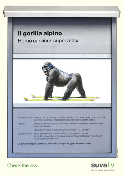 Prevenzione degli infortuni con un guizzo d'ironia, come nel caso del gorilla alpino nel 1999