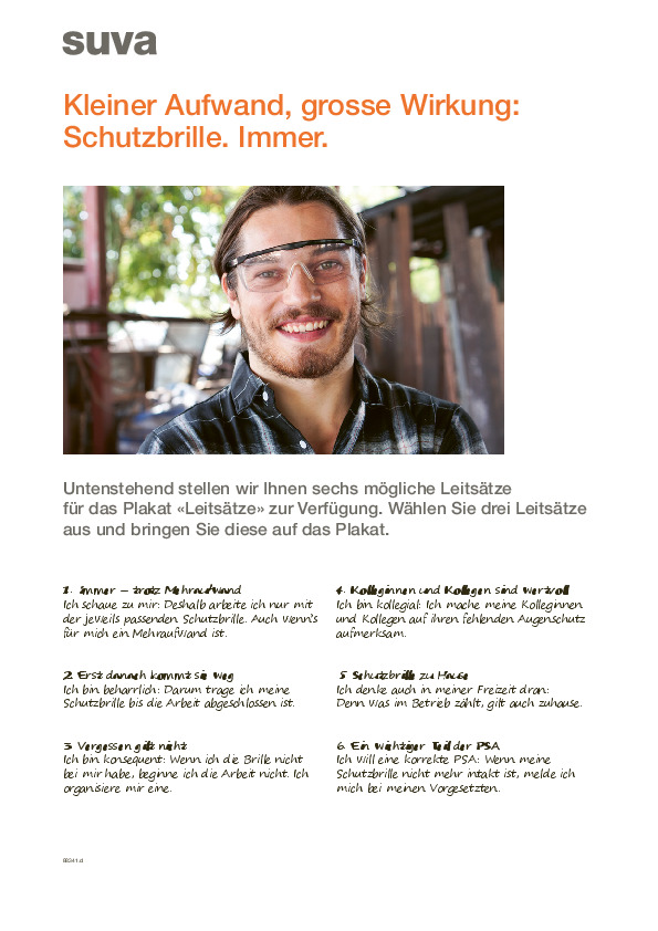 Kleiner Aufwand, grosse Wirkung: Schutzbrille. Immer.