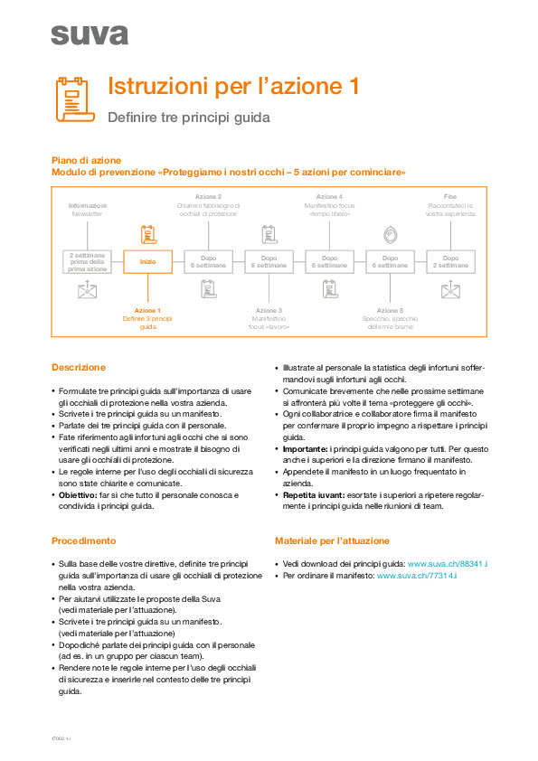 Istruzioni per l’azione 1: Definire tre principi guida
