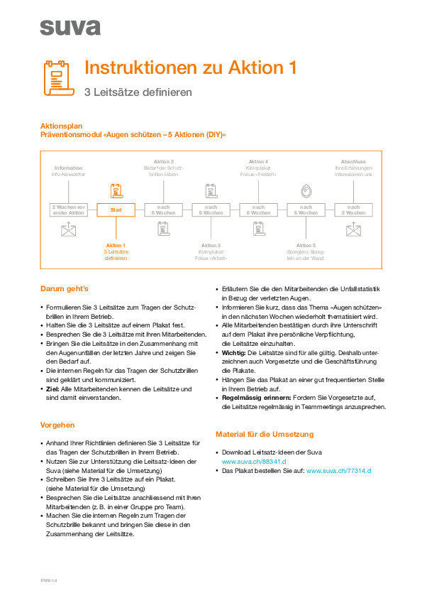 Instruktionen Aktion 1: 3 Leitsätze definieren