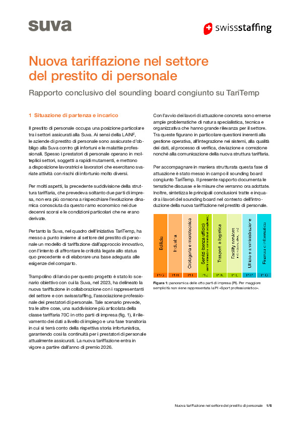 Rapporto finale «Nuova tariffazione nel prestito di personale»