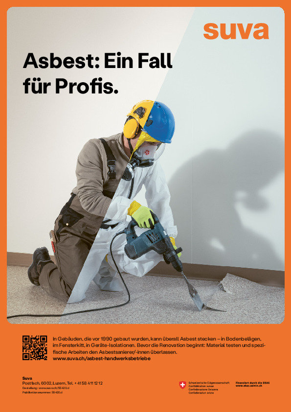 Kleinplakat - Asbest: Ein Fall für Profis