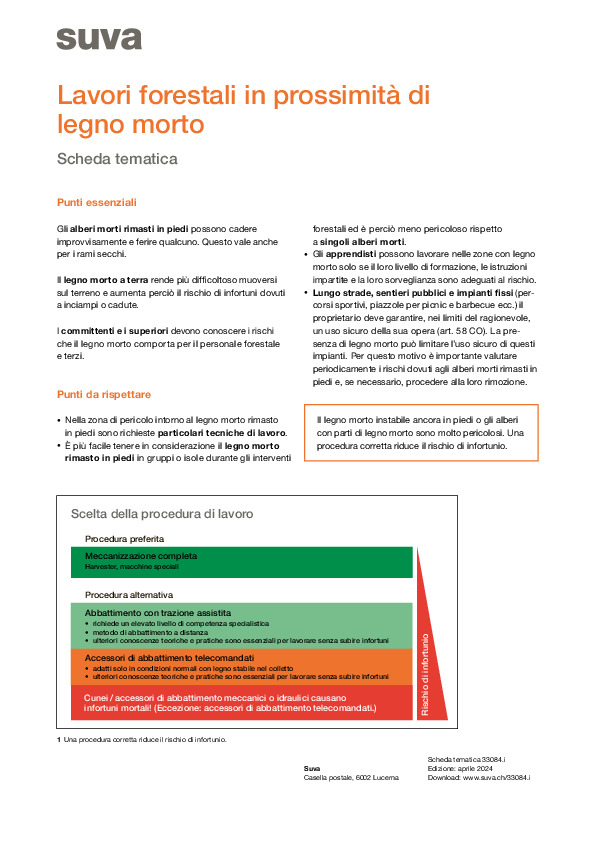 Lavori forestali in prossimità di legna morta