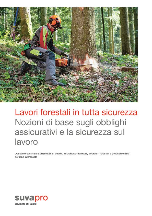 Lavori forestali: assicurazione e sicurezza sul lavoro