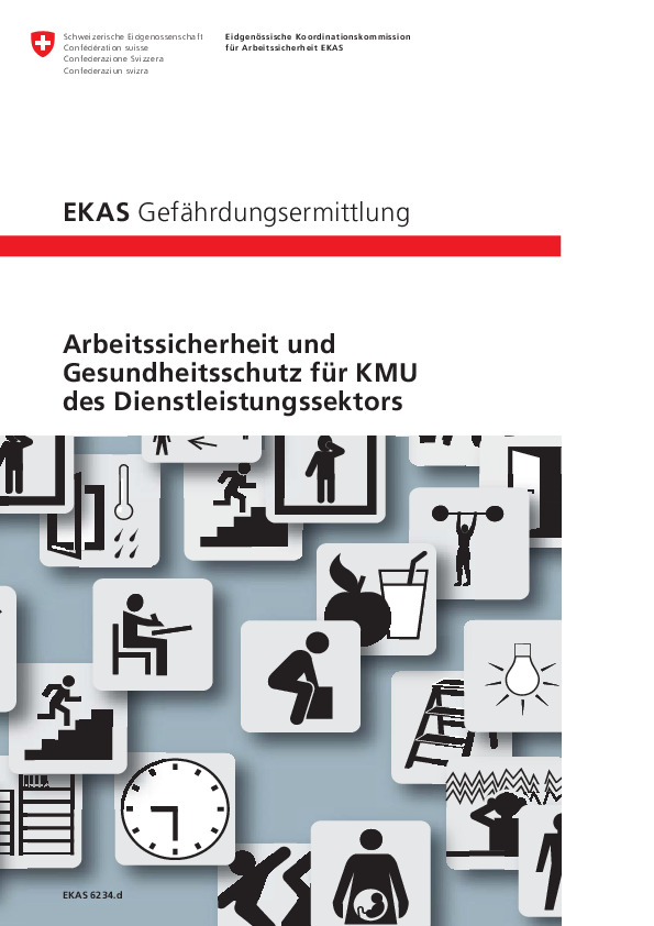 Arbeitssicherheit und Gesundheitsschutz für KMU des Dienstleistungssektors (EKAS)