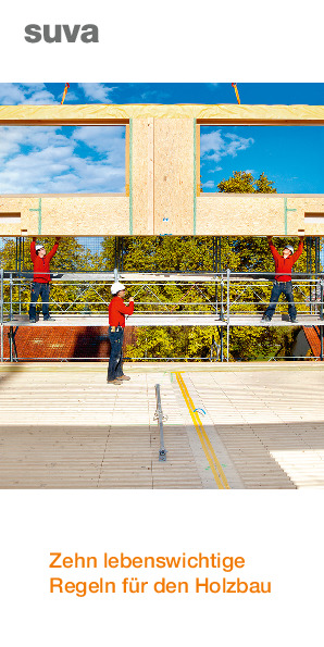 Prospekt: Zehn lebenswichtige Regeln für den Holzbau