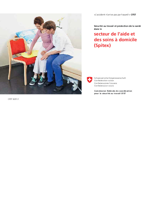L'accident n'arrive pas par hasard! Sécurité au travail et protection de la santé dans le secteur de l'aide et des soins à domicile (Spitex) (CFST)
