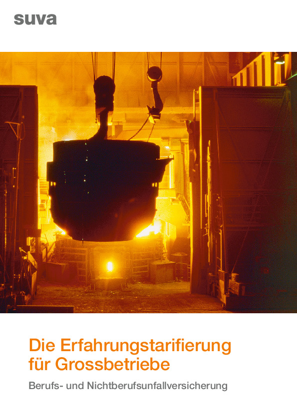 Die Erfahrungstarifierung für Grossbetriebe. Berufs- und Nichtberufsunfallversicherung