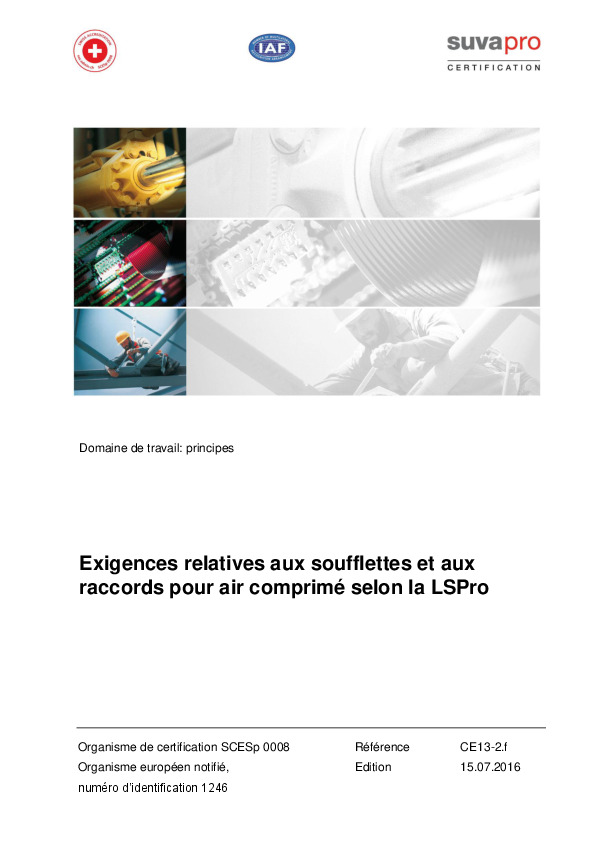 Examen de type pour soufflettes et raccord pour air comprimé