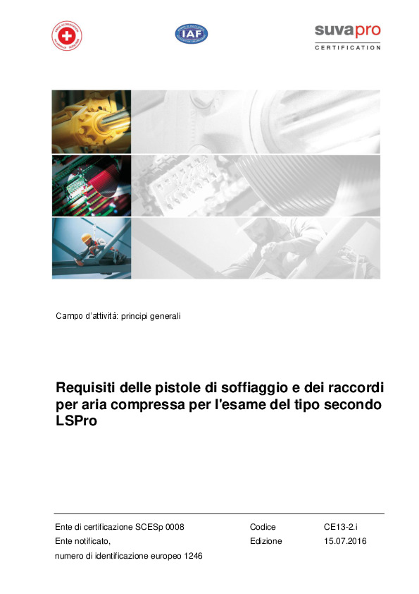 Esame tipo per pistole di soff. e raccordi aria compr.