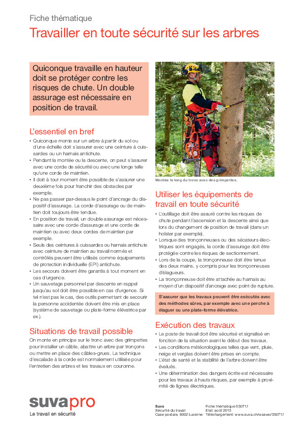 Assurage lors de la grimpe aux arbres