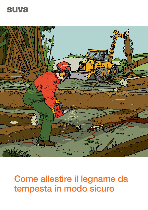 Allestire il legname da tempesta: pericoli e sicurezza