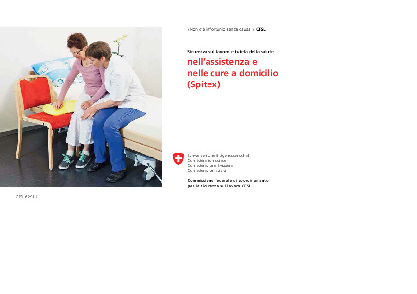 Non c'è infortunio senza causa! Sicurezza sul lavoro e tutela della salute nell'assistenzae nelle cure a domicilio (Spitex) (CFSL)