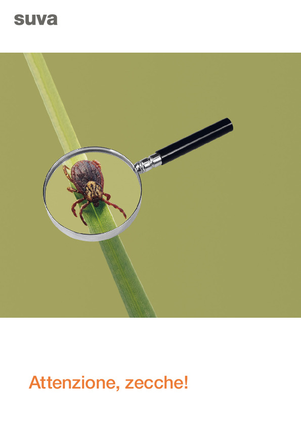 Prevenire i morsi delle zecche in modo semplice