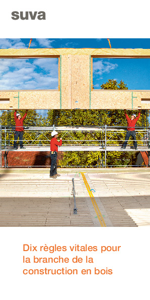 Prospectus: Dix règles vitales pour la construction en bois