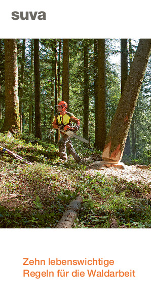 Prospekt: Zehn lebenswichtige Regeln für die Waldarbeit