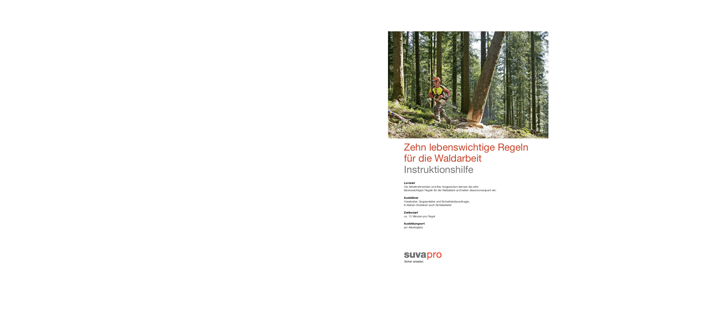 PSA Forst- & Waldarbeit