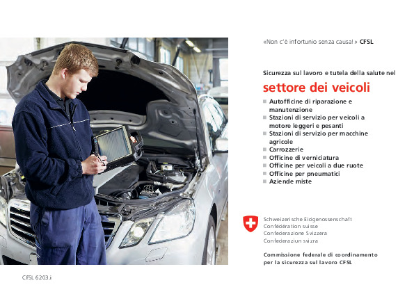 «Non c'è infortunio senza causa!» Sicurezza sul lavoro e tutela della salute nel settore dei veicoli (CFSL)