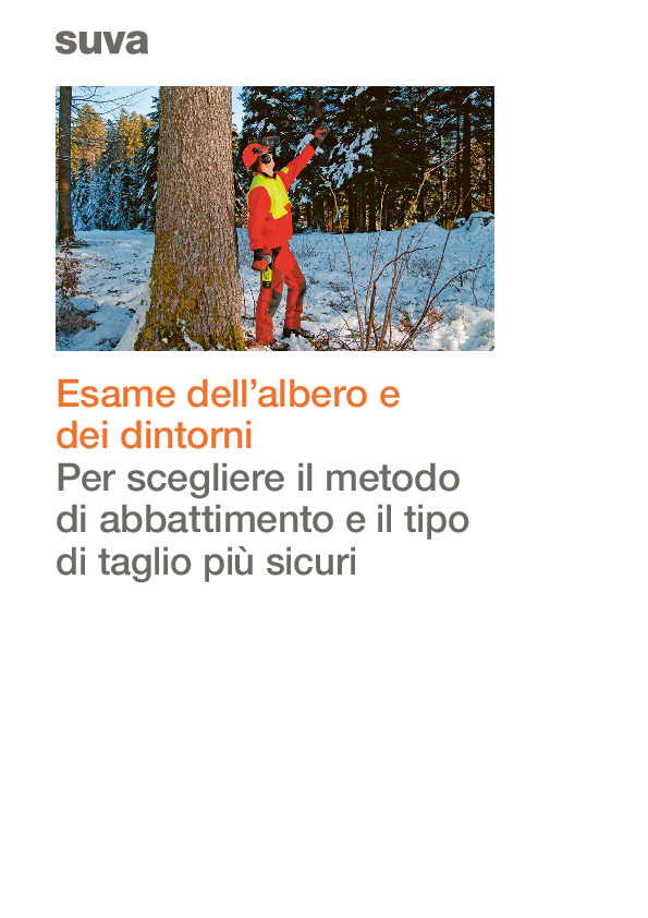 Esame di albero e ambiente per un abbattimento sicuro