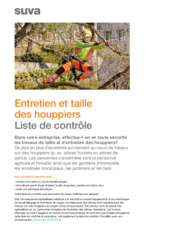 Tailler les arbres et entretenir les houppiers en sécurité