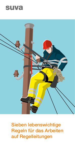 Faltprospekt lebenswichtige Regeln: Regelleitungen
