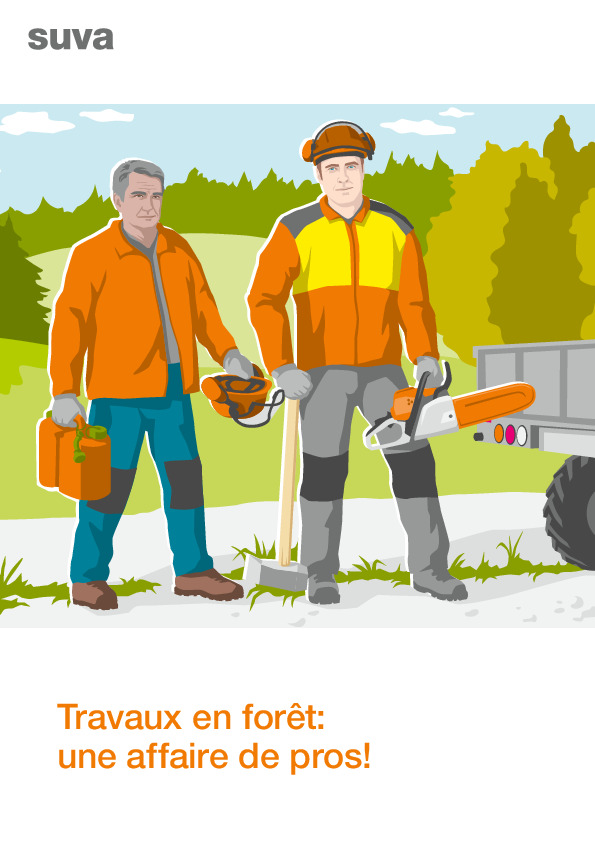 Entretien et exploitation professionnels d’une forêt