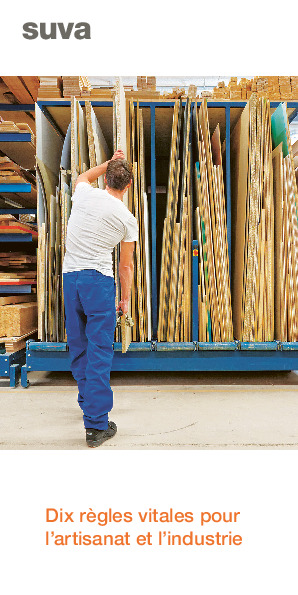 Dépliant Règles vitales: Artisanat et industrie