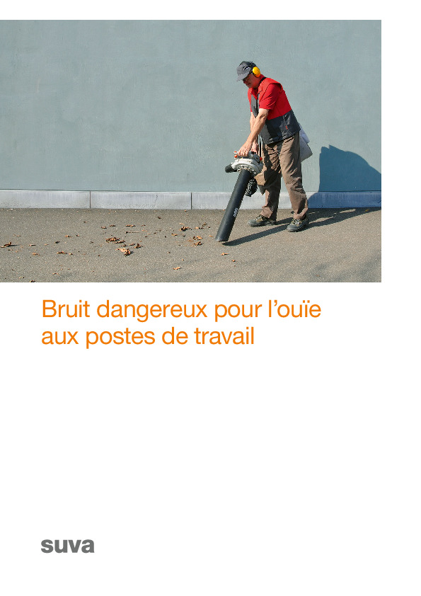 Lésions auditives dues au bruit aux postes de travail