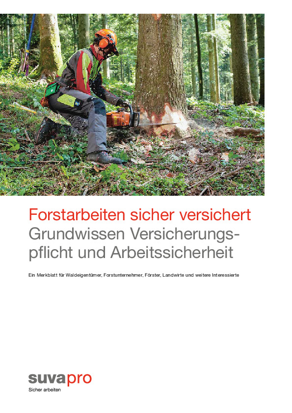 Forstarbeiten: Versicherung und Arbeitssicherheit