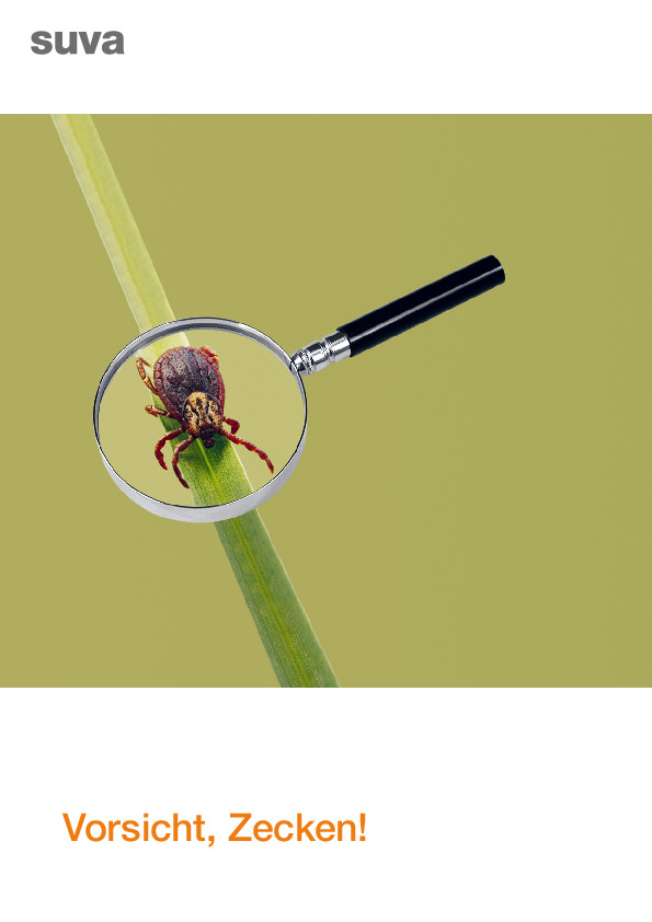 Mit einfachen Mitteln Zeckenstiche verhindern