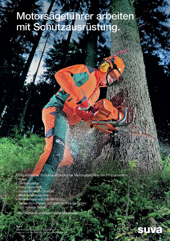 Motorsägen nur mit obligatorischer PSA verwenden