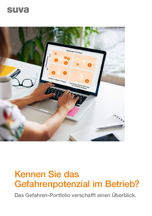 Gefahrenbeurteilung: Überblick durch Gefahren-Portfolio
