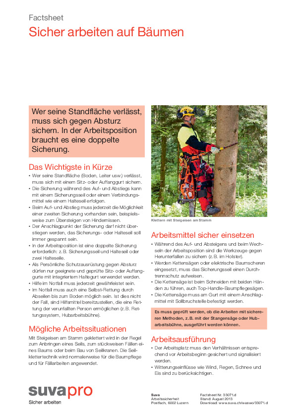 Sichern beim Baumklettern