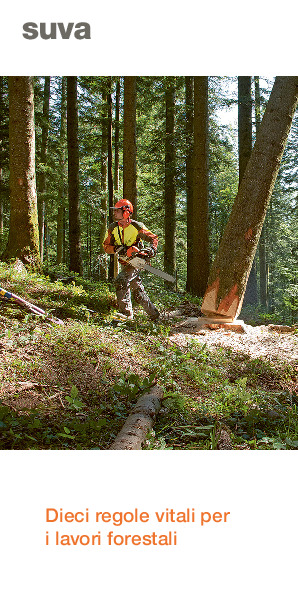 Prospetto: dieci regole vitali per i lavori forestali