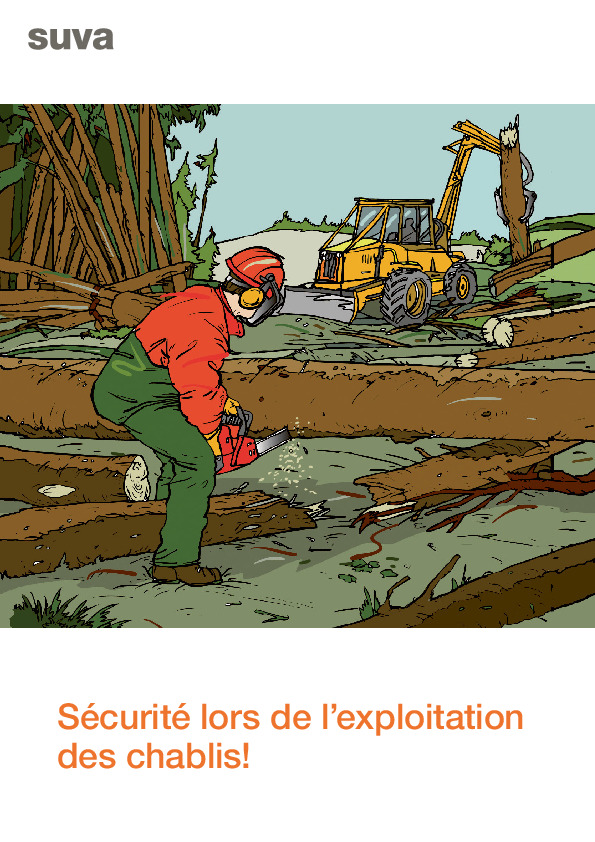 Exploiter les chablis: dangers et sécurité