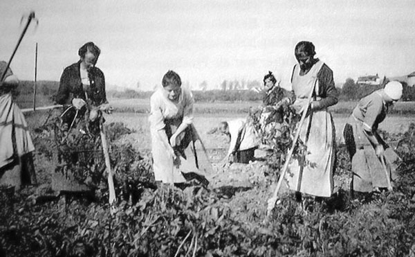 Feldarbeit auf dem Gelände des Mädchenheims Heimgarten in Bülach um 1920.