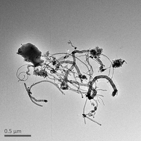 Pelote de nanotubes de carbone, grossissement x10 000