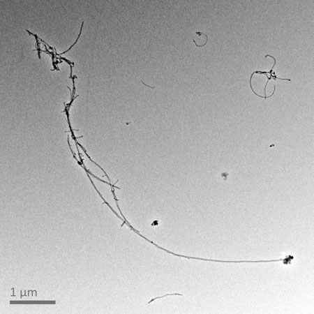 Carbon Nanotubes, 40 000-fache Vergrösserung