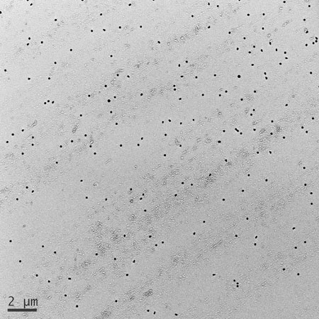 Nanoparticules d’argent, grossissement x1000