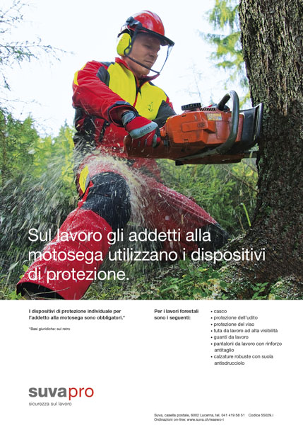 Manifesto di avvertimento per lavoratori forestali, 2011