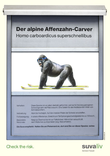 Unfallverhütung mit Augenzwinkern-Affenzahn-Carver-1999