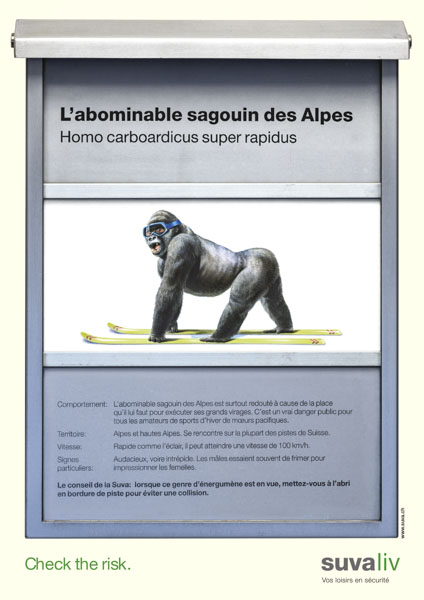 Prévention des accidents liés à l’abominable sagouin des Alpes en 1999