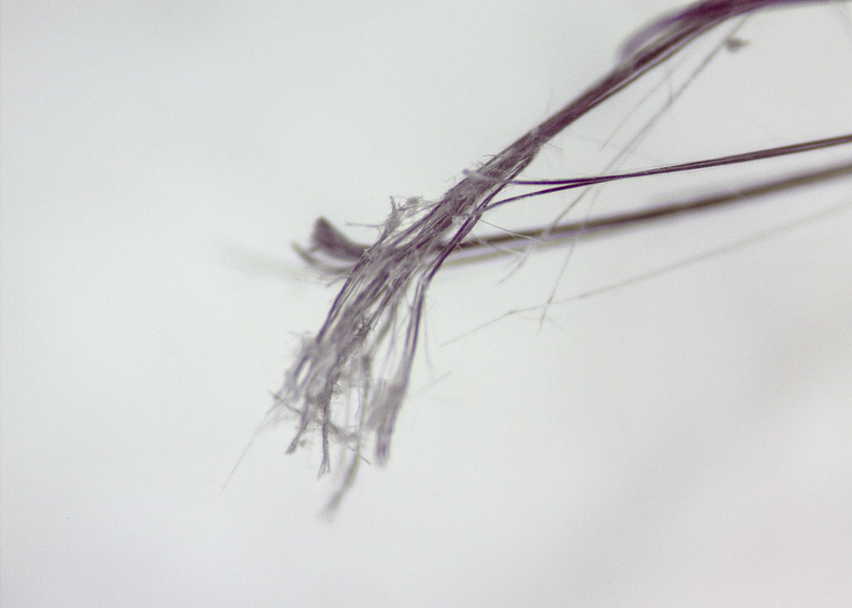 Al microscopio le fibre di amianto si presentano sotto forma di filamenti sottili di colore grigio, solo in apparenza innocui. In realtà possono essere mortali.